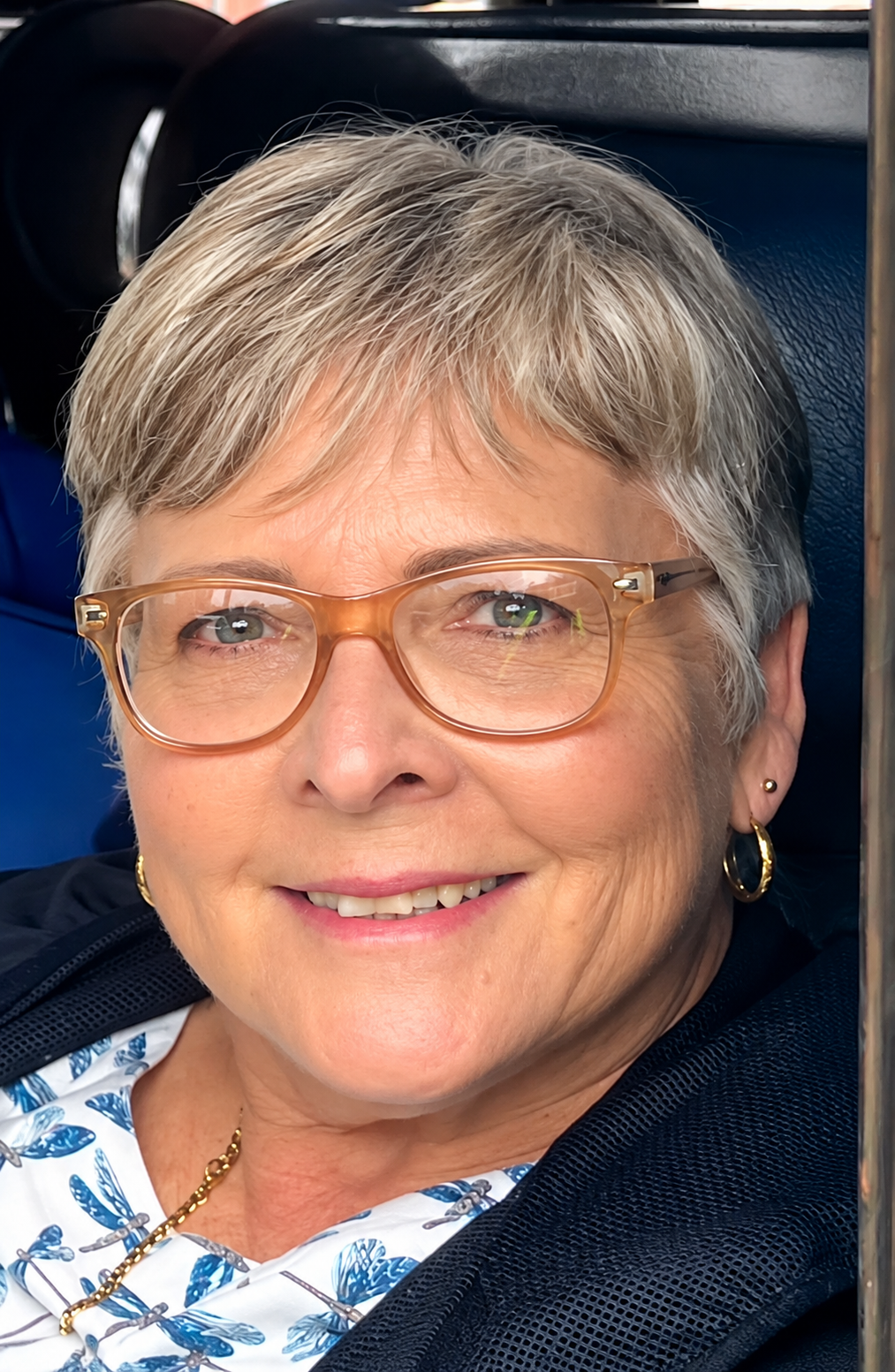 Ilse